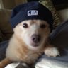 Crom's profile picture
