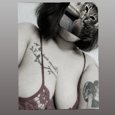 noo Mod🐜🖤🖤's profile picture