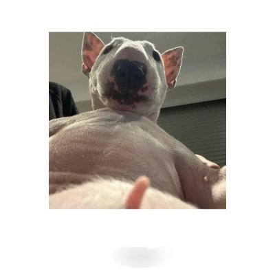 phu_thr73213's profile picture