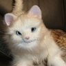 teramasa1182's profile picture