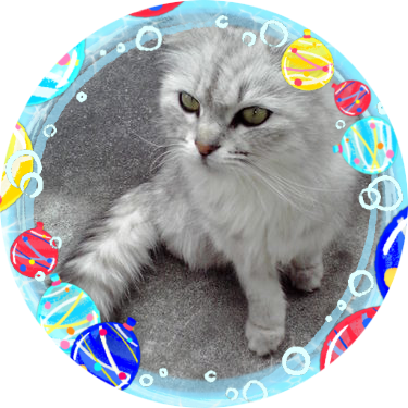 yukiita_uni's profile picture