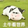 牛牛 的头像