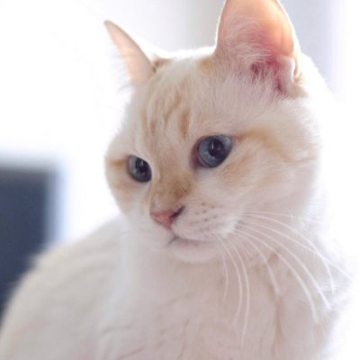 الامبراطور متعب لكل الحصريات's profile picture