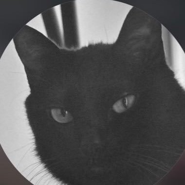Agust D's profile picture