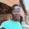 Profilbild von manit moses