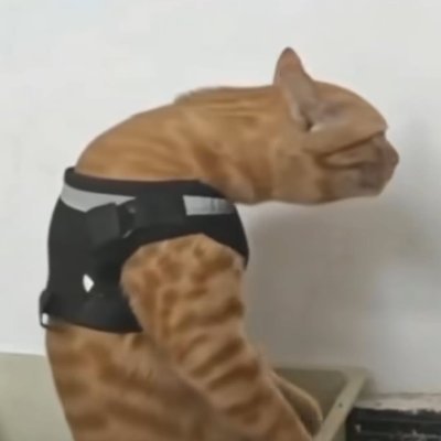 TeddyxROO's profile picture