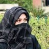 شقایق🌹's profile picture