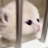 didjssixj's profile picture