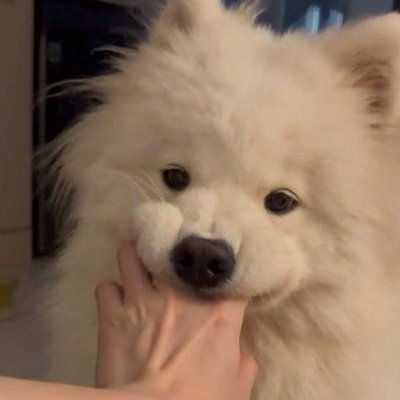 chobtalaymai's profile picture