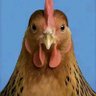 nithing profil fotoğrafı