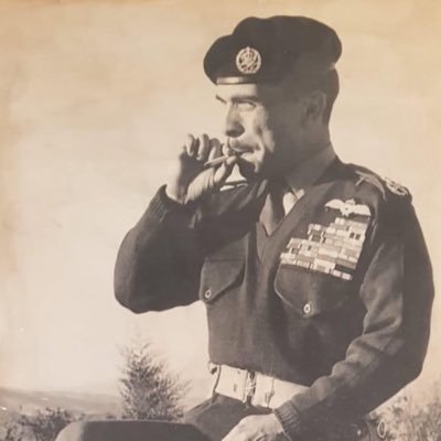 diana_majali's profile picture