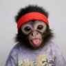 -_-'s profile picture