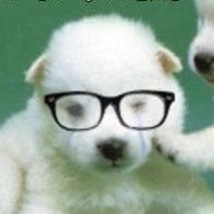 tythebestboy's profile picture