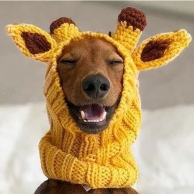 PositiveAt28535's profile picture
