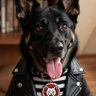 Profilbild von Lesley B