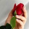 جؤذر الصغير 的头像