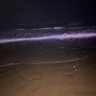 Baklol's profile picture