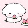 miaomiao's profile picture