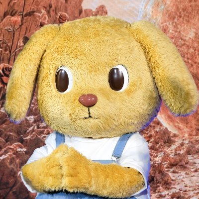 lisusuwi's profile picture