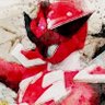 DX SentaiFive 的头像