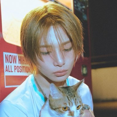 innecfox's profile picture