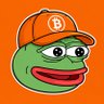 Cripto Pepe Memes 的头像