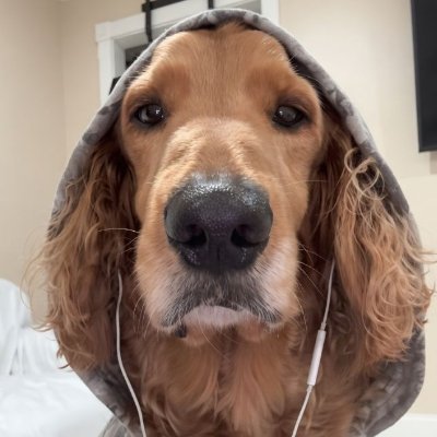 J's profile picture