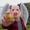 Defi Anti's profile picture