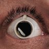 巴巴哥 profil fotoğrafı