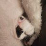 Profilbild von swim in whykiiikiii #bb28