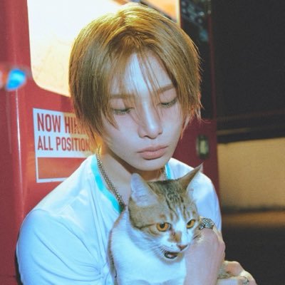 yenitulip's profile picture