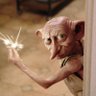 Dobby profil fotoğrafı