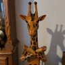 Profilbild von Giraffe