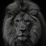 plaga's profile picture