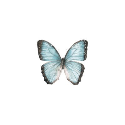 intojcs's profile picture