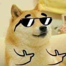 Conny's profile picture