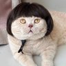 Profilbild von กล้วยอบเนยโรยเกลือ🥰