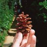 Saras profil fotoğrafı