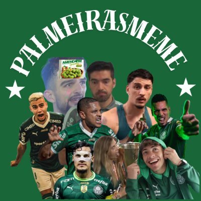 Palmeiras memes's profile picture