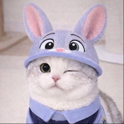 PlxyChubby's profile picture