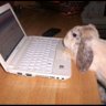 mati profil fotoğrafı