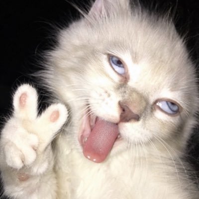 alxndrra_'s profile picture