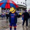 Profilbild von Nelson de la U