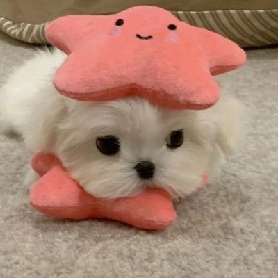 ℳuped✿'s profile picture