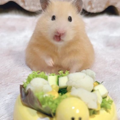 حصريات متعب's profile picture