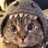 kkrz's profile picture