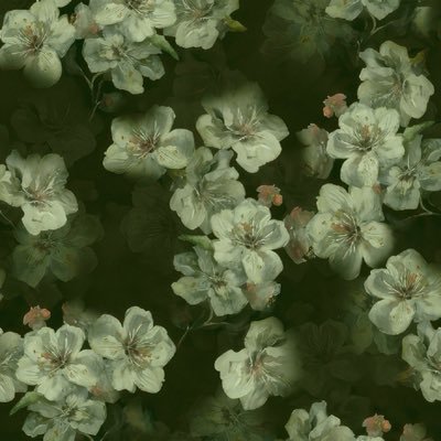 Ryu_Ryumini's profile picture