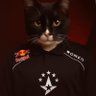 Profilbild von sir savage the 21st