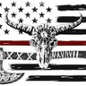 American Heathen's profile picture
