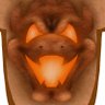 Profilbild von toasted_bowser